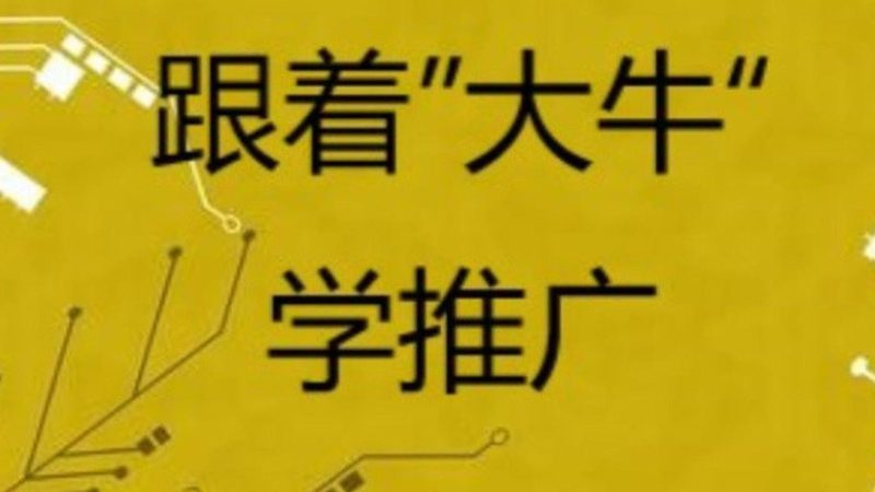 网络营销入门：从基础到实操的必经之路